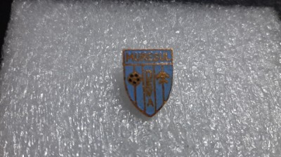 Insigna Muresul Deva foto