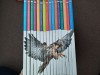 Enciclopedia ilustrata a familiei (16 volume)