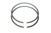Segmenti 37mm (2 x 1.2mm), drujba, ARV-080208.1