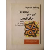 Jaap van de Weg - Despre sensul piedicilor: motive ale inițierii &icirc;n viața zilnică