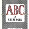 ABC-ul In Chirurgie - Adrian Aldea, Hortensiu Aldea