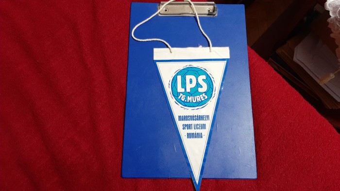 fanion LPS Tg. Mures