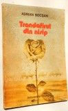 Trandafirul din nisip - Adrian Bocsan