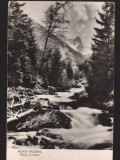 CPIB 22702 - CARTE POSTALA - MUNTII FAGARAS. LACUL PODRAGELUL, VF ARPASUL MARE