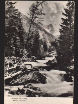 CPIB 22702 - CARTE POSTALA - MUNTII FAGARAS. LACUL PODRAGELUL, VF ARPASUL MARE foto