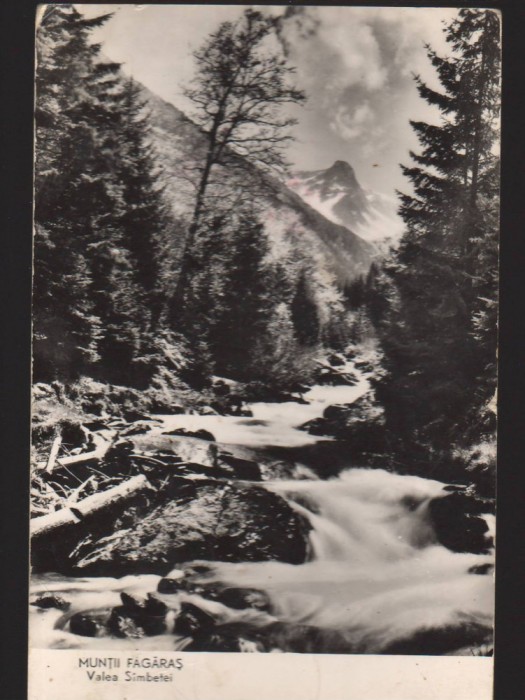CPIB 22702 - CARTE POSTALA - MUNTII FAGARAS. LACUL PODRAGELUL, VF ARPASUL MARE