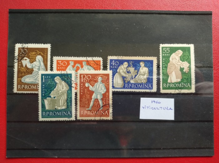 1960 - VITICULTURA ( 1 )