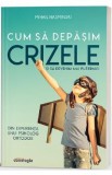 Cum sa depasim crizele si sa devenim mai puternici - Mihail Hasminski