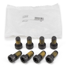 Set Suruburi Volanta Luk Bmw Seria 3 E93 2008-2013 411 0199 10 foto