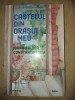 Castelul din orasul meu- Ioana Baldea Constantinescu