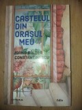 Castelul din orasul meu- Ioana Baldea Constantinescu