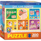 Puzzle 200 piese The Five Senses, Jad