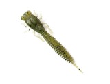 Năluca soft Fanatik X-Larva 2 inch culoare 001
