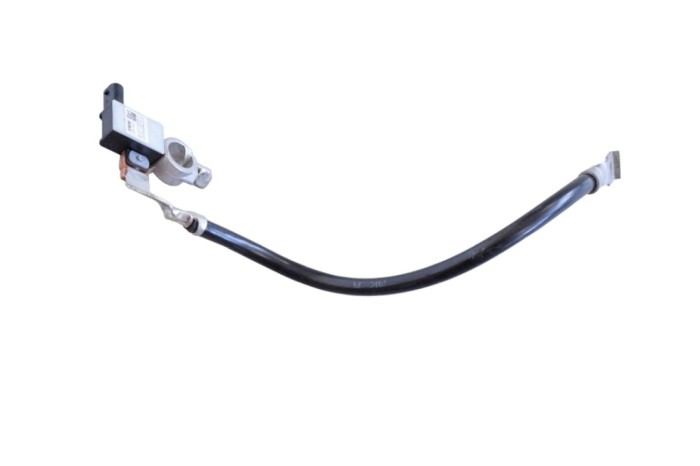 Borna cablu baterie BMW X6 F16, F86 2018 OEM: 6819309 26391487