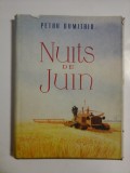 NUITS DE JUIN - PETRU DUMITRIU