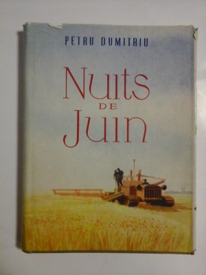NUITS DE JUIN - PETRU DUMITRIU foto