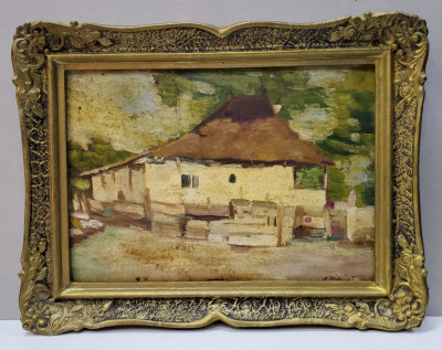 CASA BATRANESCA - A. MITRICA foto