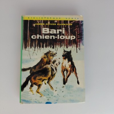Bari Chien-Loup foto