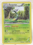 Bnk crc Cartonas Pokemon Serperior 8/113