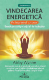 Vindecarea energetică pe &icirc;nțelesul tuturor - Paperback brosat - Abby Wynne - Prestige