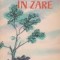 Calareti in zare