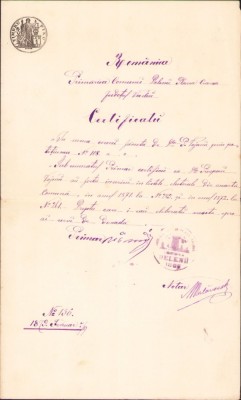 A496 Certificat de &amp;icirc;nscriere pe listele electorale, 1879, Vaslui foto