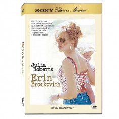 Erin Brockovich DVD foto