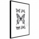 Cumpara ieftin Poster - Butterfly Collection IV, cu Ramă neagră, 20x30 cm