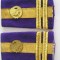 C2 3 - Grade militare - locotenent colonel financiar
