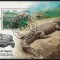 ANGOLA 2018 - Crocodili / colita