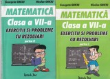 Niculae Ghiciu, Georgeta Ghiciu - Matematica clasa a VII-a. Exercitii si