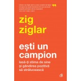 Esti un campion. Lasa-ti stima de sine si gandirea pozitiva sa straluceasc, Zig Ziglar