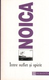 AS - CONSTANTIN NOICA - INTRE SUFLET SI SPIRIT