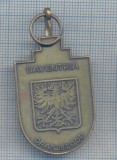 AZ 165 MEDALIE - SPORTIVA - ALERGARE - OLANDEZA - DEVENTRIA -ORANJELOOP 1985