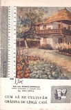 CUM SA NE CULTIVAM GRADINA DE LANGA CASA-TEODOR BORDEIANU, LIVIA STEFAN-347614