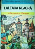 Laleaua neagră, Alexandre Dumas