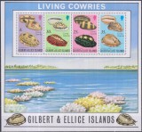 Timbre cu scoici din Gilbert&amp;Elice