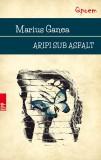 Aripi sub asfalt - Marius Ganea - Paralela 45
