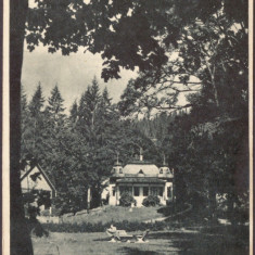 1939 - BORSEC, Harghita, Vilele, Romania - old postcard - used - 1949