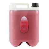 Sampon Iv San Bernard Vanesia Ginseng, pentru caini si pisici, 10l