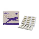 Cumpara ieftin Nutravet Nutraflex Caini &amp; Pisici, 60 capsule