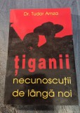 Tiganii necunoscutii de langa noi Tudor Amza