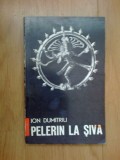 N8 Pelerin la Siva - ion Dumitriu