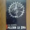 n8 Pelerin la Siva - ion Dumitriu