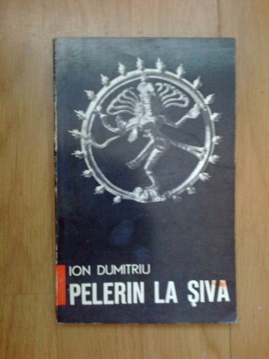 n8 Pelerin la Siva - ion Dumitriu