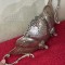 FRUCTIERA ARGINTATA - SHEFFIELD Collection - Anglia - Mare - Vintage !
