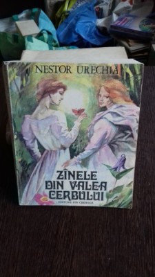 ZINELE DIN VALEA CERBULUI - NESTOR URECHIA foto