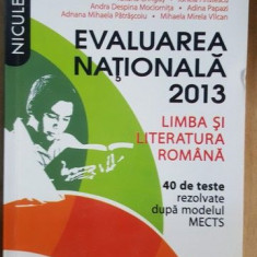 Evaluarea Nationala 2013. Limba si literatura romana- Cristian Ciocaniu, Alina Ene