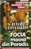 Focul mocnit din Paradis Sandra Brown editura Miron 1994 carte 1994 literatura straina roman clasic