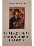 Ioanichie Balan - Sfintele icoane facatoare de minuni din Romania (Editia: 2004)